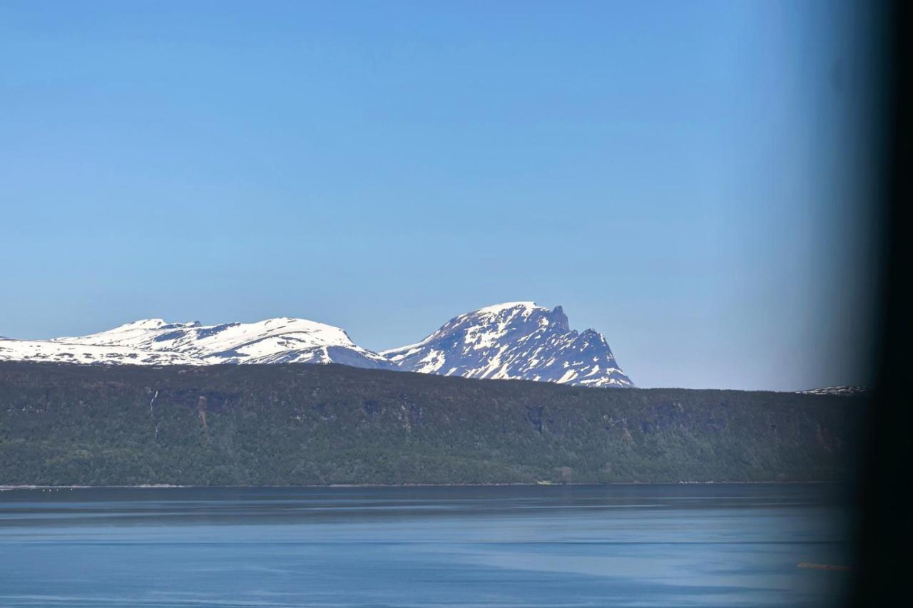 Big Central House, Free Parking, Wifi, 3 Bedrooms Narvik Kültér fotó