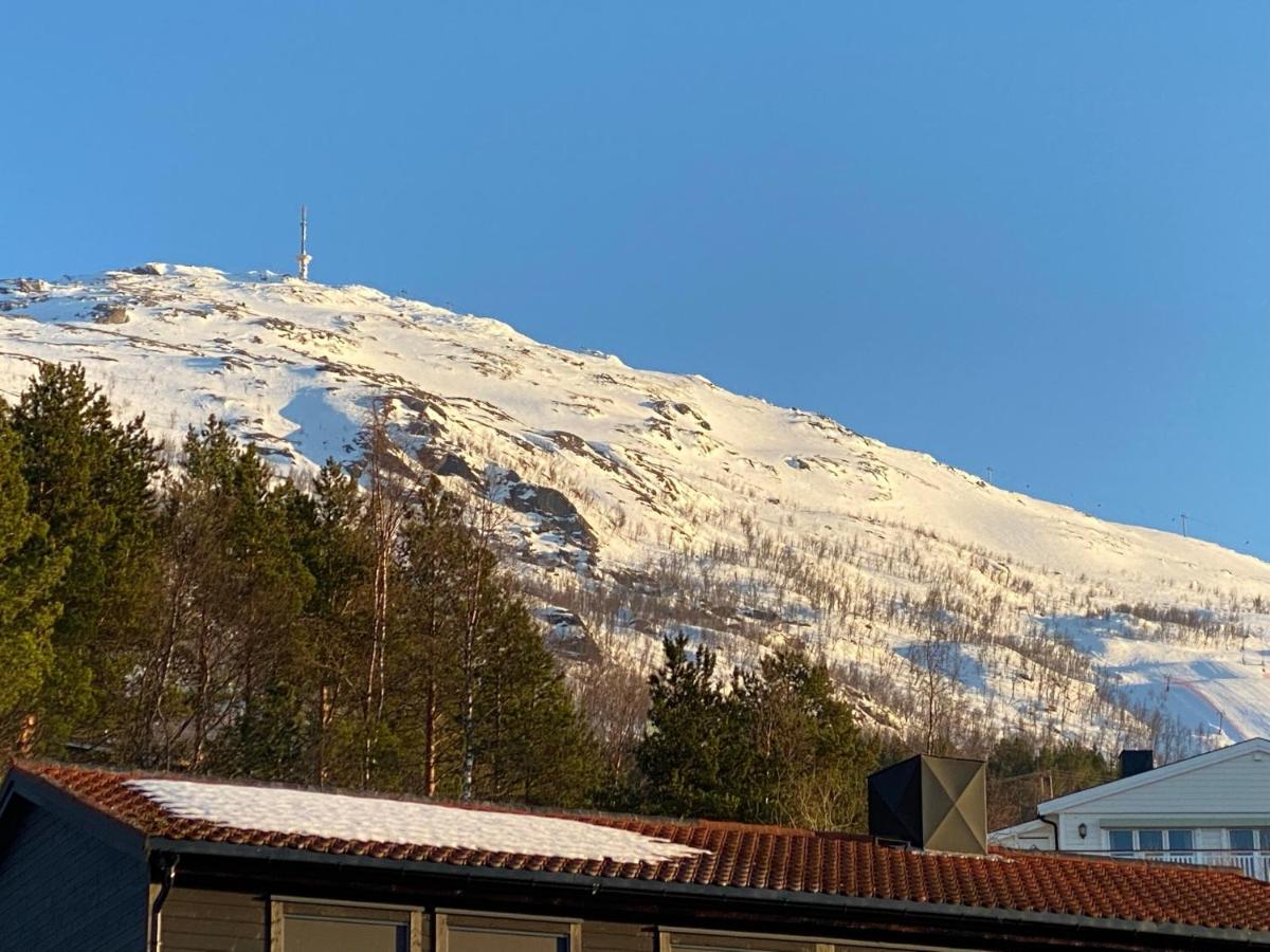 Big Central House, Free Parking, Wifi, 3 Bedrooms Narvik Kültér fotó